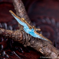 Blue Bird Of Happiness Swallow Vintage Brooch