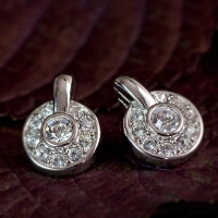 Swarovsky-Swarovski Earrings With Swan Logo